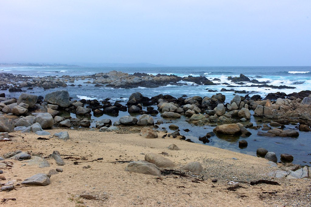 The Struggles and Strength of Chilean Fisherwomen