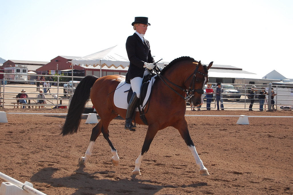 The Dark Side of Dressage: Unveiling the Cruelty Behind the Discipline