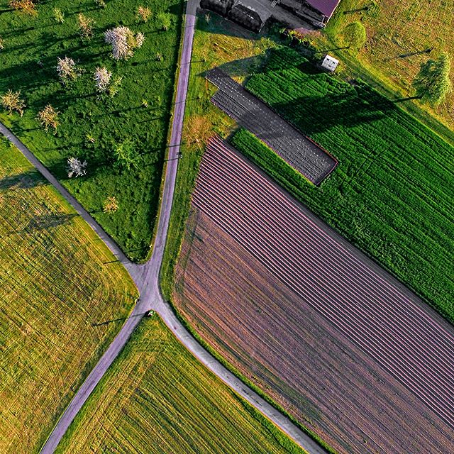 Farmer Loans and Subsidies in the UK: Navigating the Changing Landscape of Agricultural Support