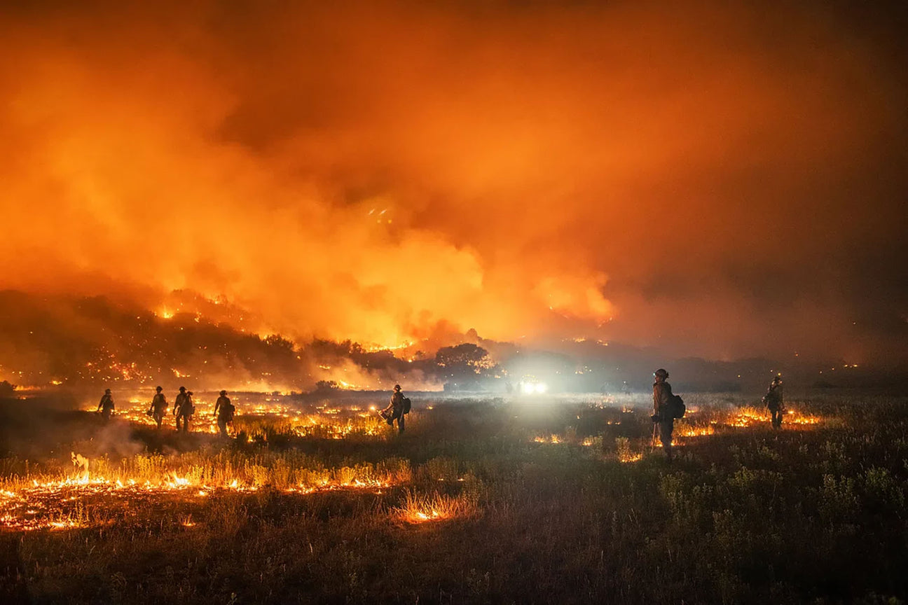 The 2023 Hawaii Wildfires: A Tragic Confluence of Nature and Neglect