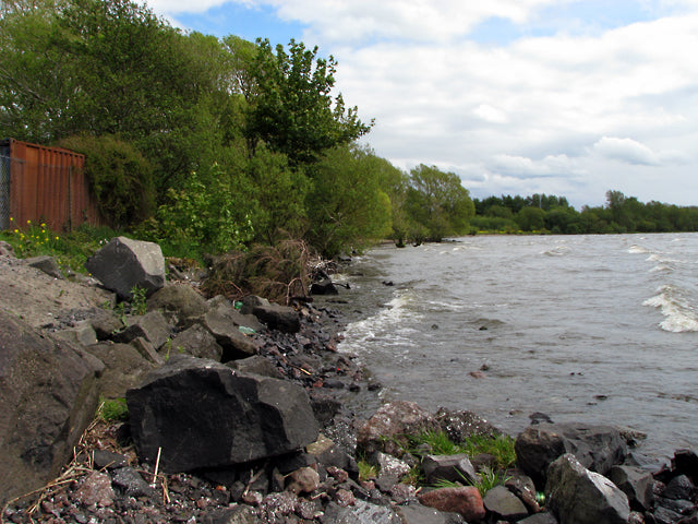 Blue-Green Algae in Lough Neagh: A Growing Environmental and Health Concern