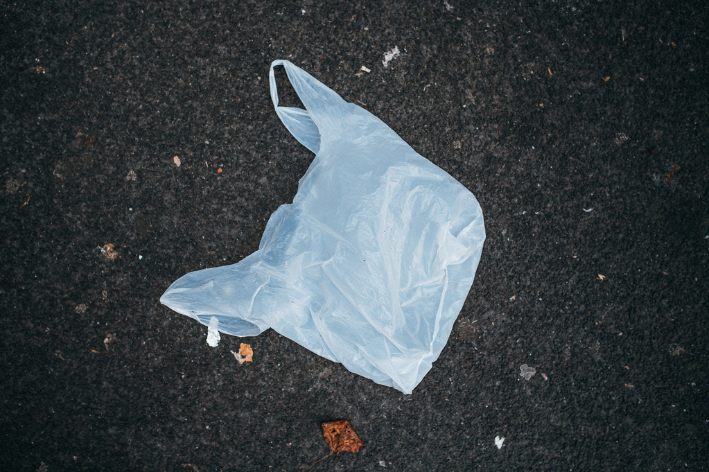 The Impact of the UK Plastic Bag Charge: A Decade of Change