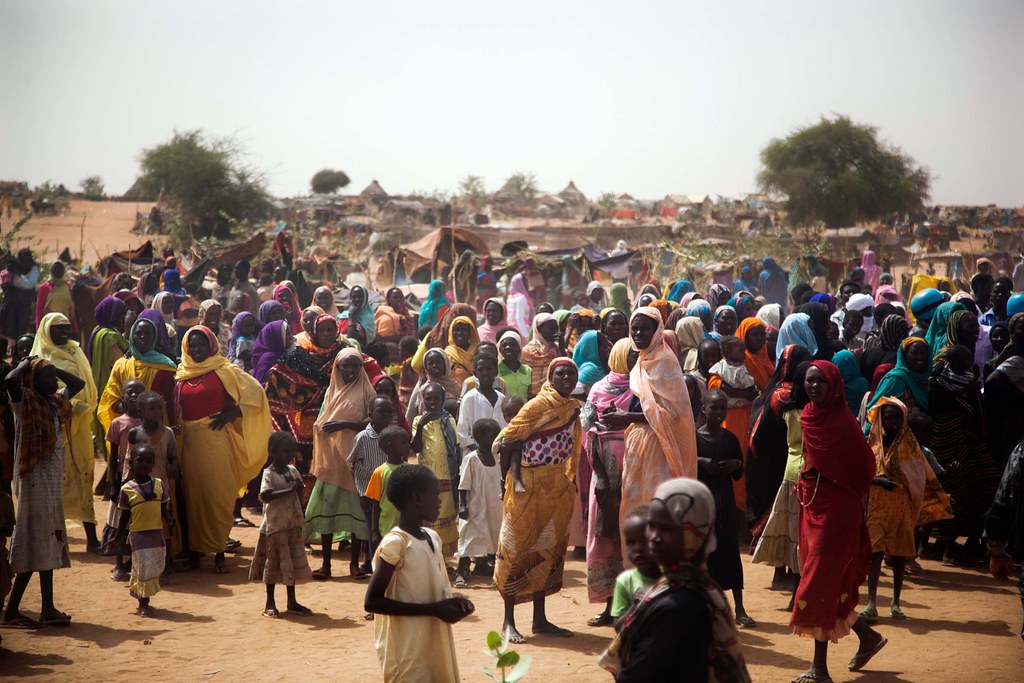 The Humanitarian Crisis at Zamzam Camp: A Desperate Struggle for Survival